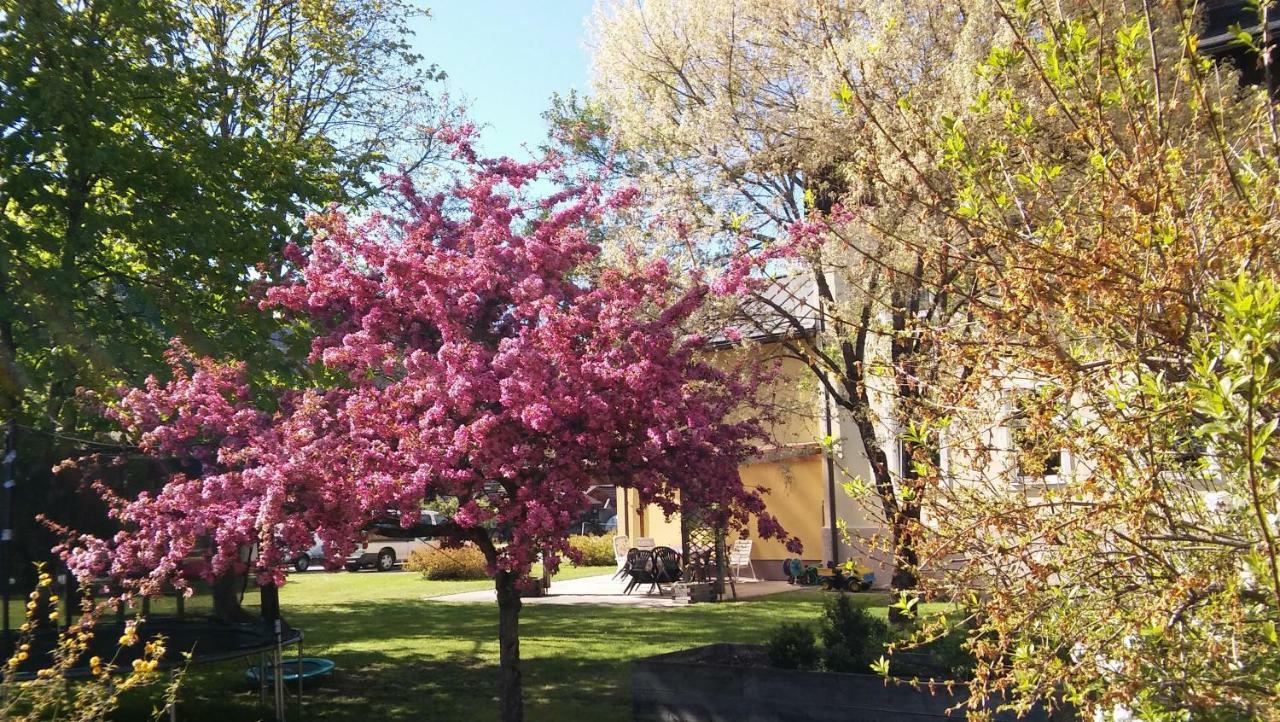 Luise Wehrenfennig & Haus Eva Hotel Bad Goisern Buitenkant foto